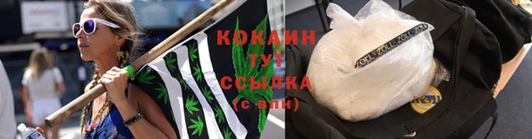 mix Белокуриха