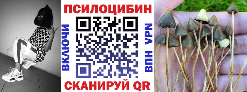 Галлюциногенные грибы Magic Shrooms Бузулук