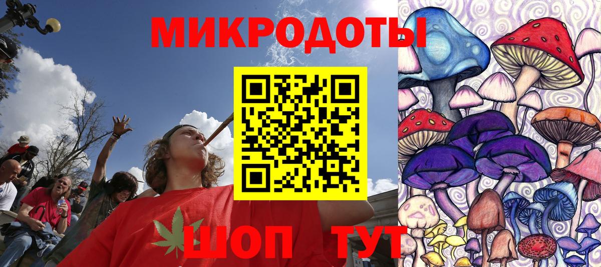 Псилоцибиновые грибы Psilocybe Бузулук