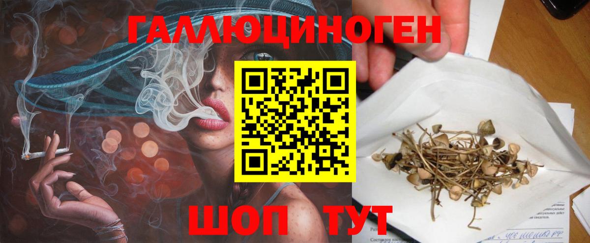 Бузулук  Галлюциногенные грибы Psilocybe  купить наркотик  Псилоцибиновые грибы Psilocybine cubensis  Вход с VPN 