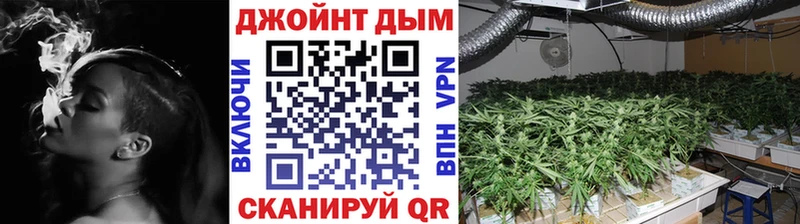Конопля гибрид  магазин продажи   Бузулук 